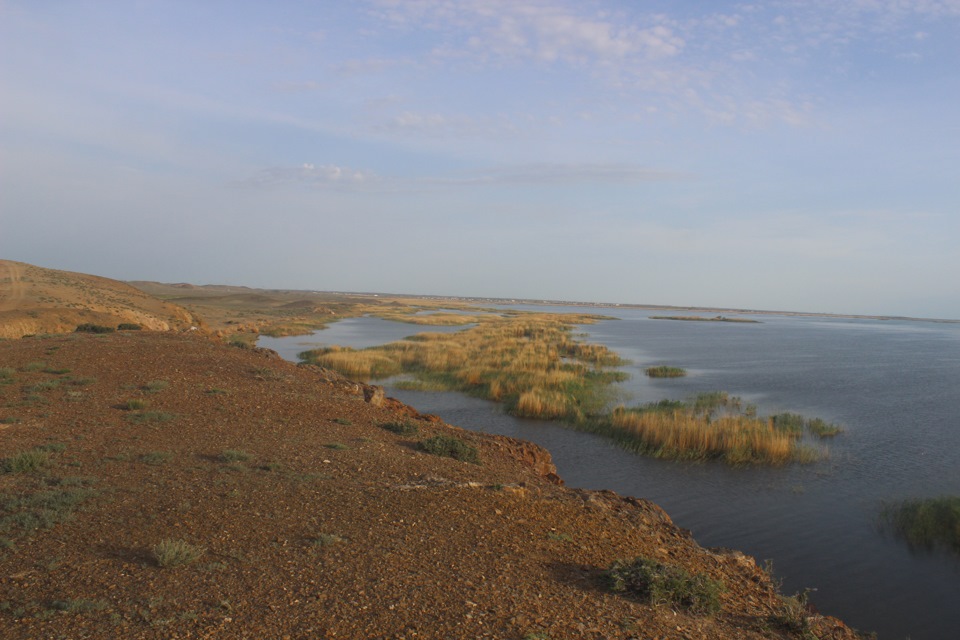 Котловина балхаша. Балхаш водохранилище. Балхаш-Алакольской котловины. Река Балхаш. Камыш на Балхаше.