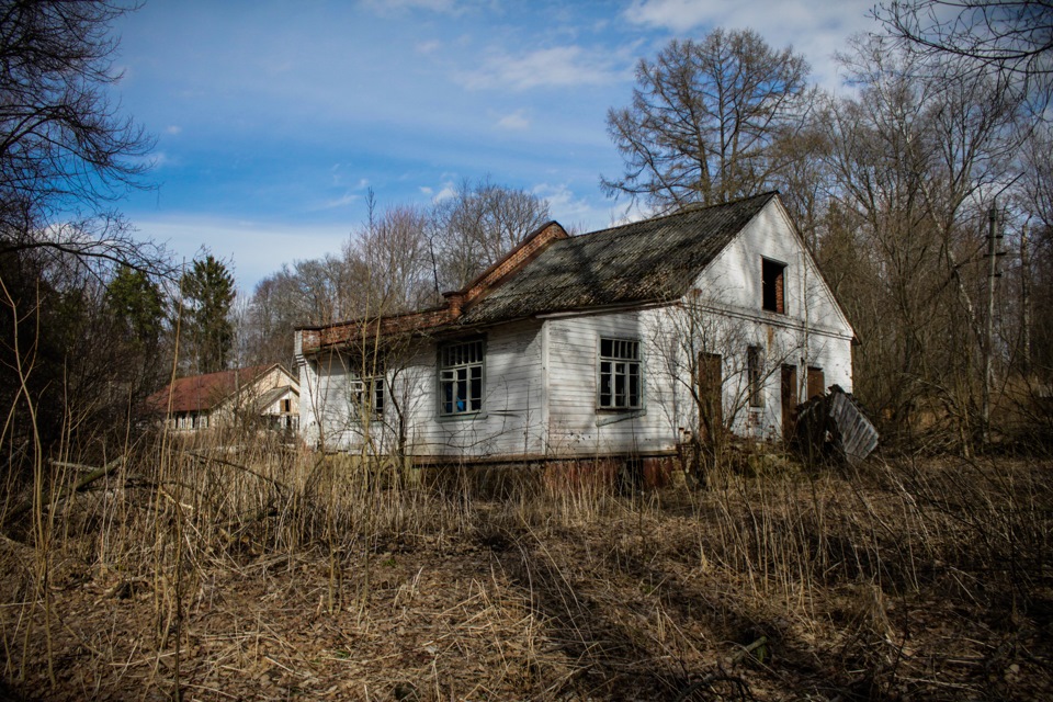 Фото заброшенных дачных участков