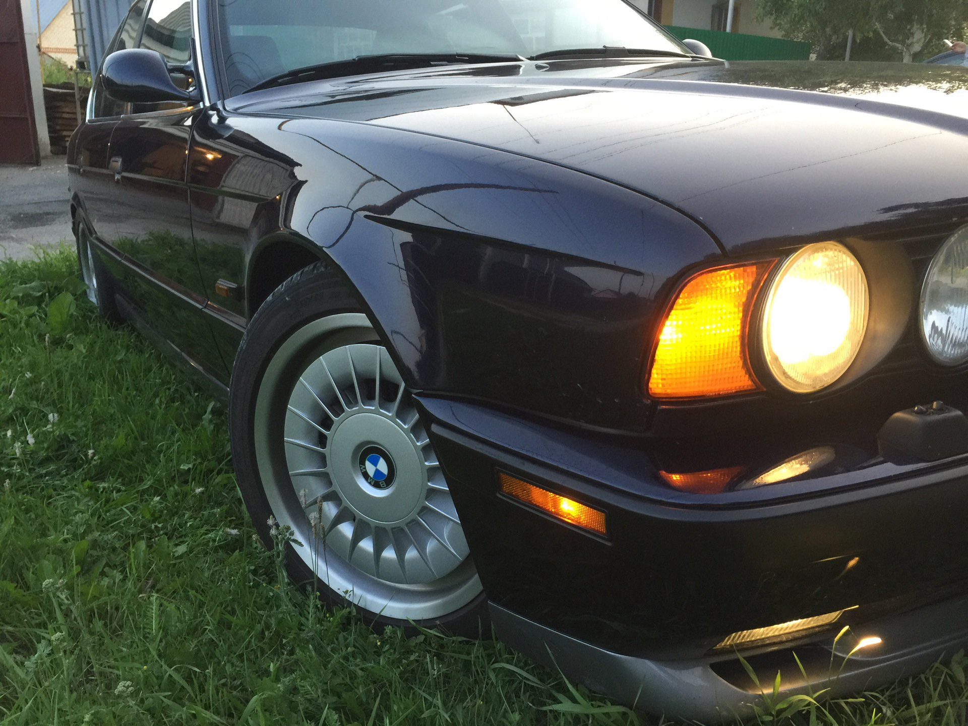 be62839s-1920.jpg