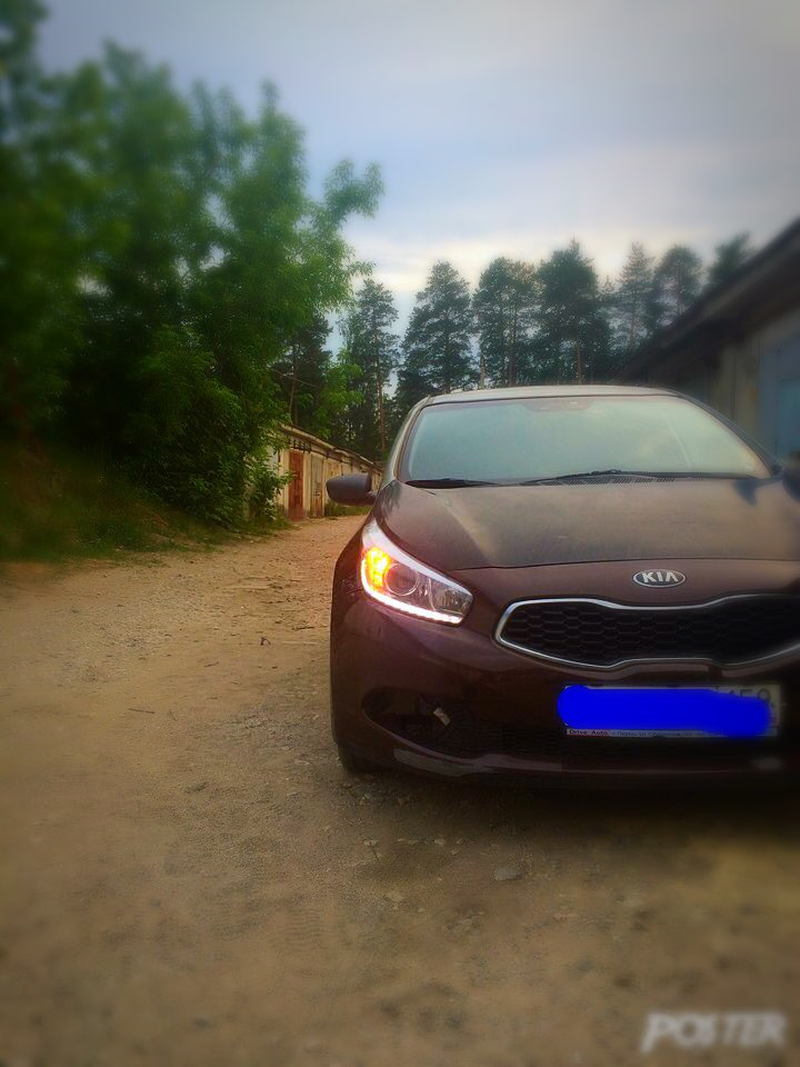 американки kia ceed jd