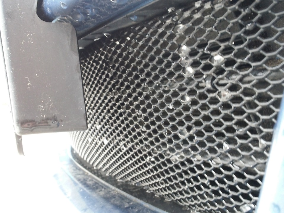 Купить Сетку В Бампер Авто