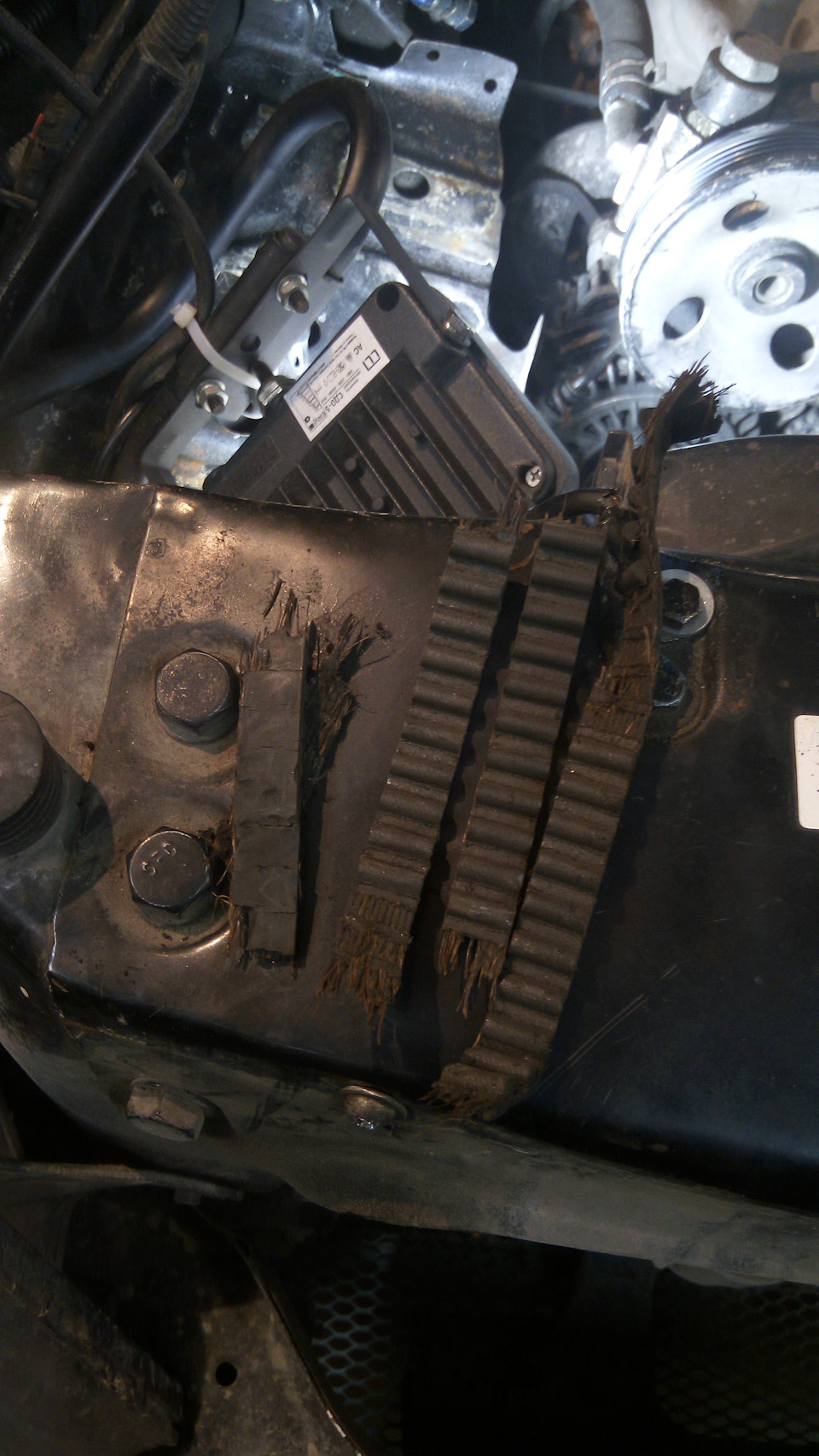 Фото в бортжурнале Derways Aurora