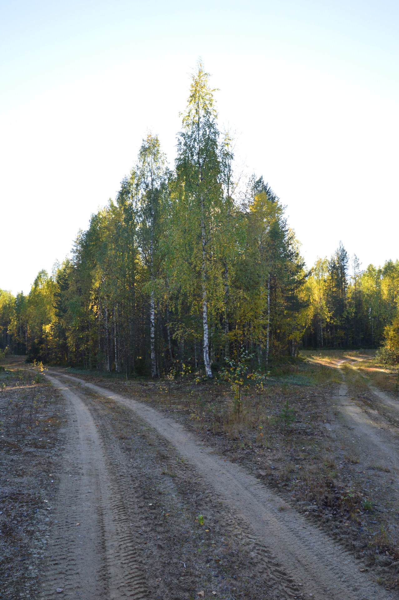 мраморный каньон валаам. озеро шуя карелия. природа карелии онежское озеро. жемчужина ладожского побережья. Go karelia.