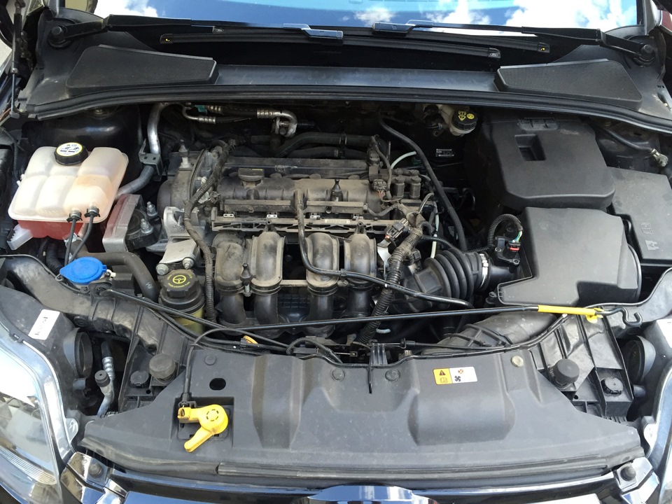 Подкапотное пространство фокус 3. Подкапотка форд фокус 2. 6 125. Подкапотное пространство форд фокус 3 1. Подкапотка форд фокус 3 1.