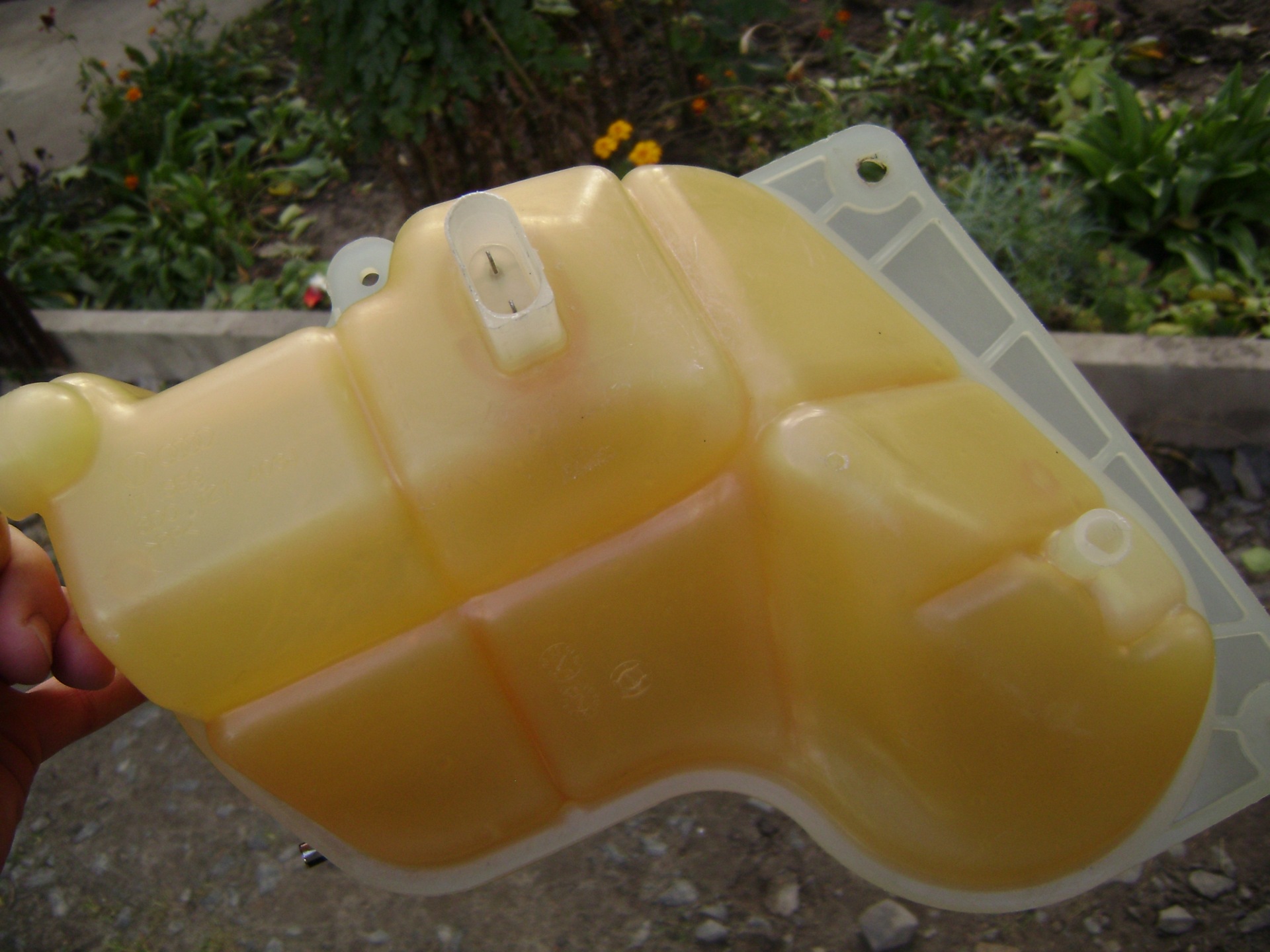 Фото в бортжурнале Volkswagen Passat Variant (B5)