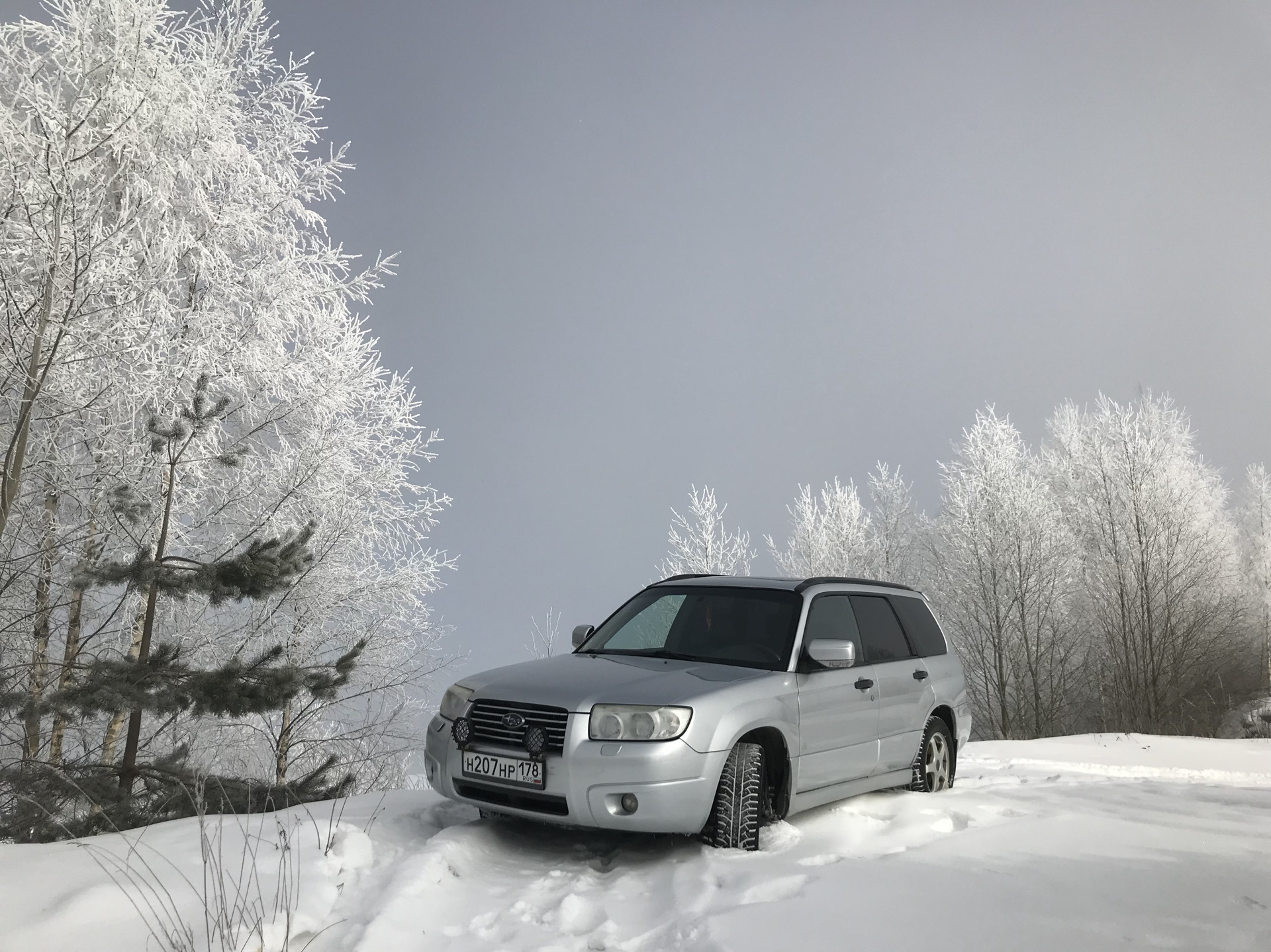 Subaru Forester Snow