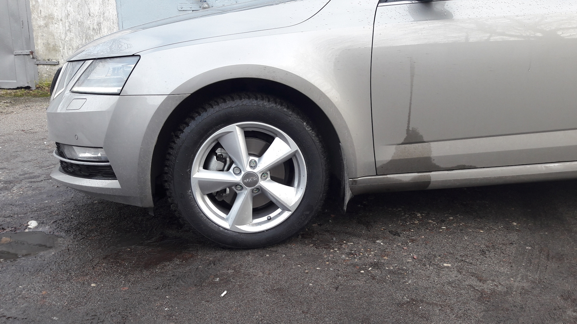 Skoda octavia a8 размер шин. Дисики шины шкода актавия. Штатные диски octavia a7 fl. Фото зимней резины на дисках для мл 166. Skoda octavia шины размер.