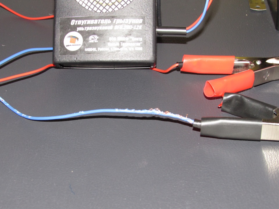 крысы( под капотом. — Hyundai Accent (2G), 1,5 л, 2006 года | прикол ...