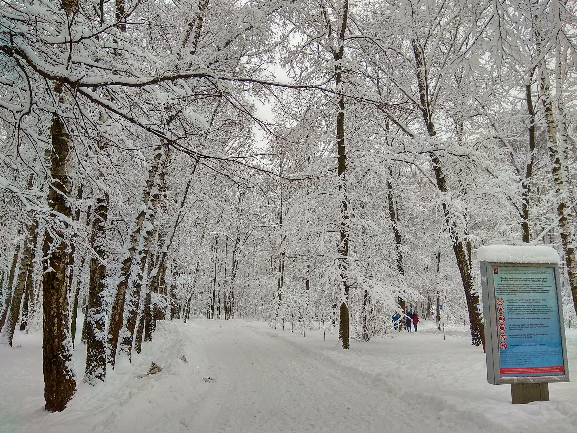Лысая гора Измайловский парк зимой