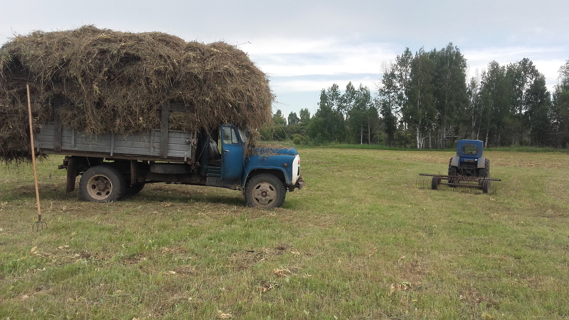 Запах сена газ. ГАЗ 53 сенокос. ГАЗ 53 С дровами. Машина газон с дровами. Самоделки для заготовки сена.