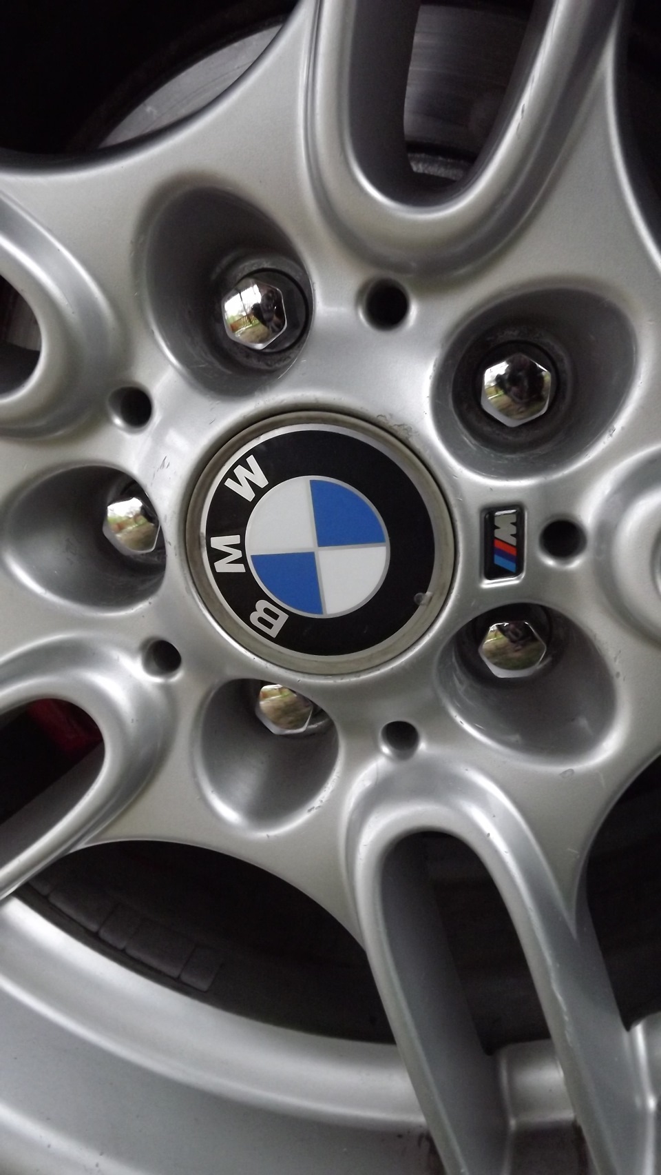 Суппорта в красный + новые болтики — BMW 5 series (E39), 3 л, 2001 года ...