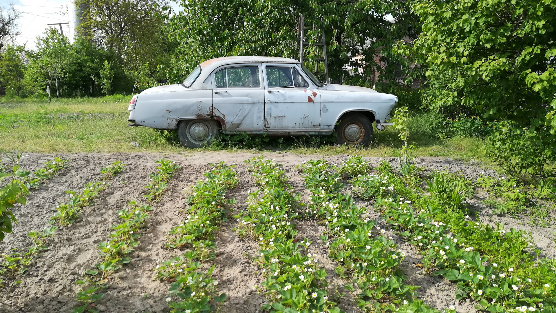 ГАЗ 21 2.4 бензиновый 1960 | Ржавая молния на DRIVE2