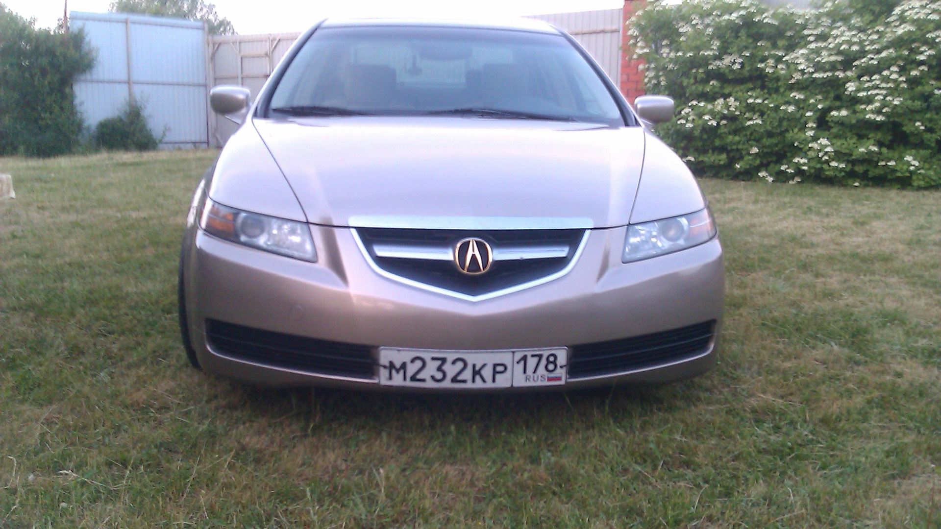 Acura TL (3G) 3.2 бензиновый 2004 | действительно золото на DRIVE2