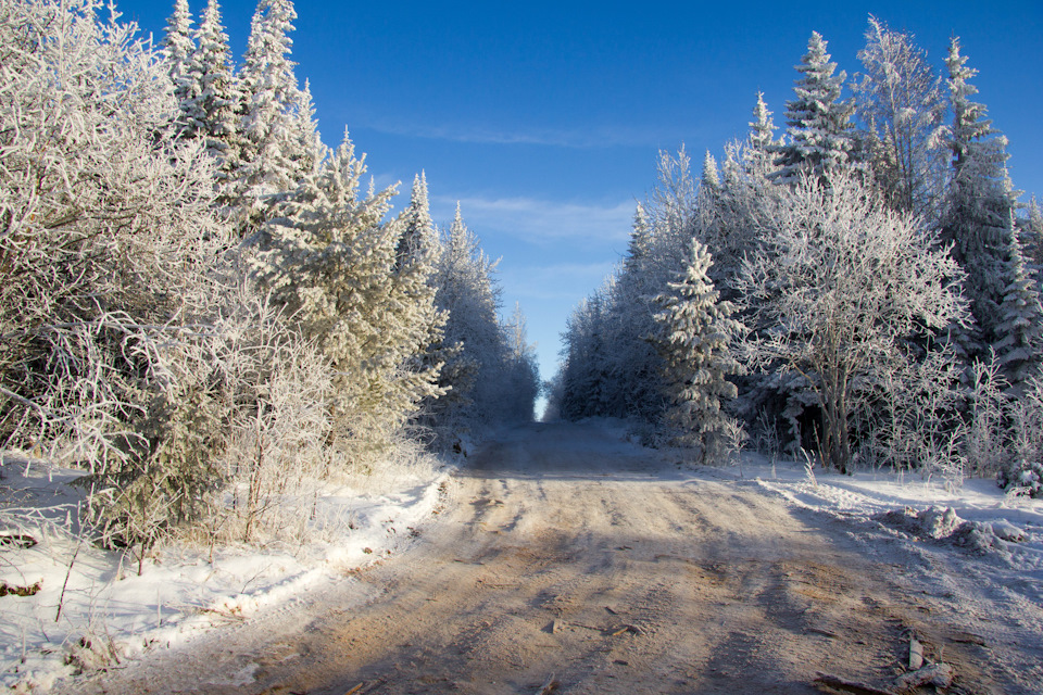 Фото в бортжурнале Mitsubishi Pajero (4G)
