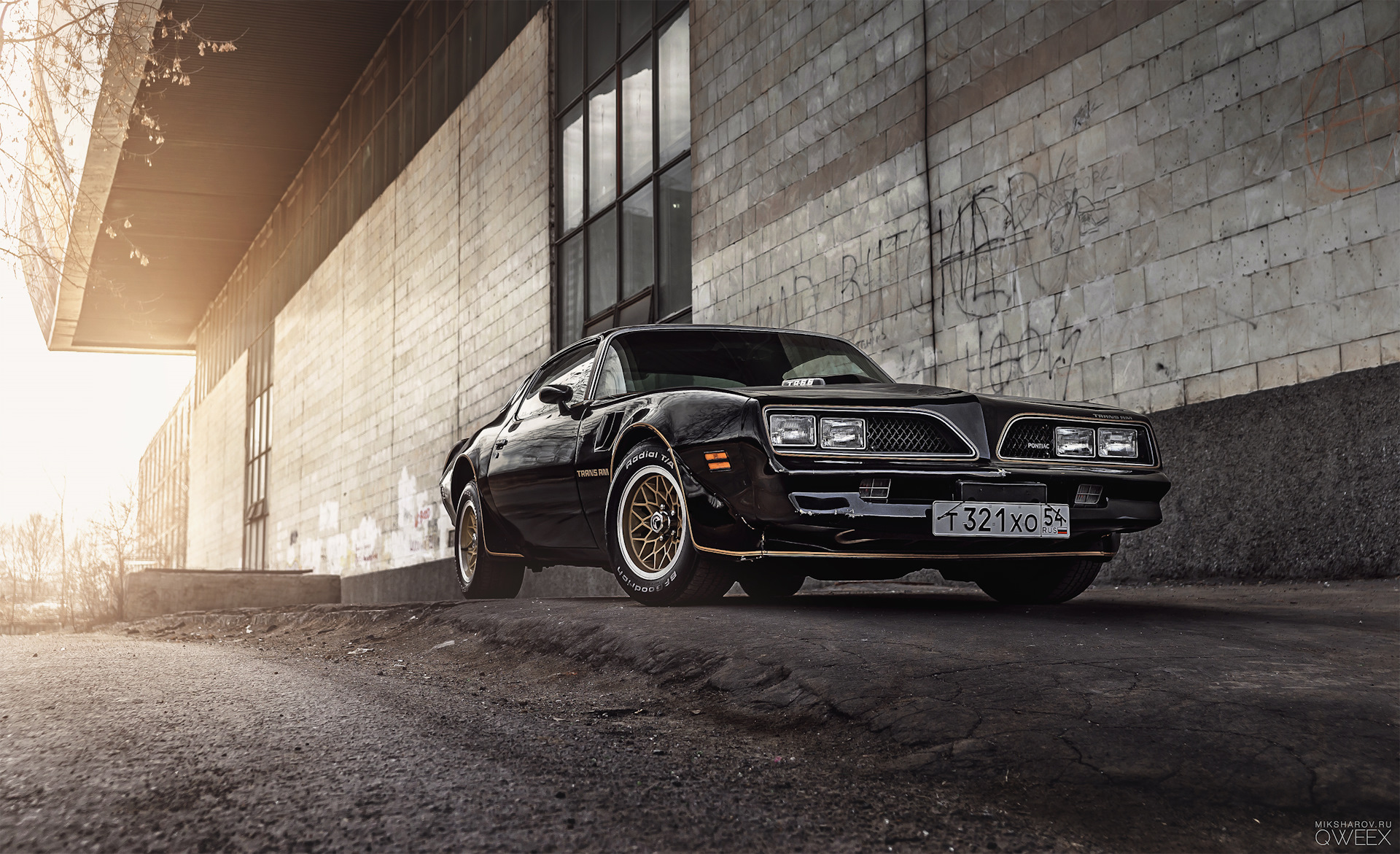 1978 PONTIAC FIREBIRD TRANS AM — RHINO MOTORS на DRIVE2