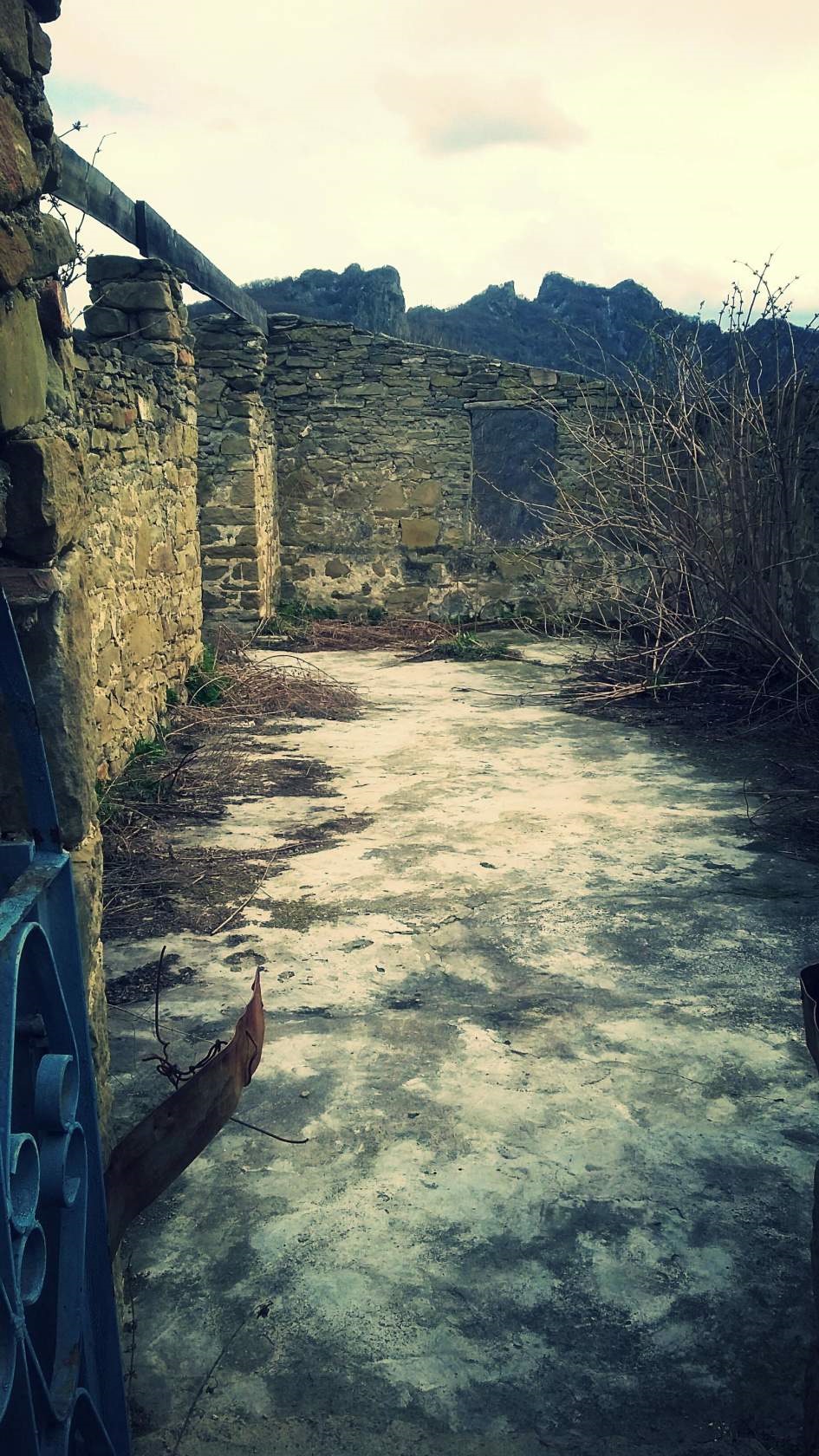 Фото в бортжурнале Lada 4x4 3D