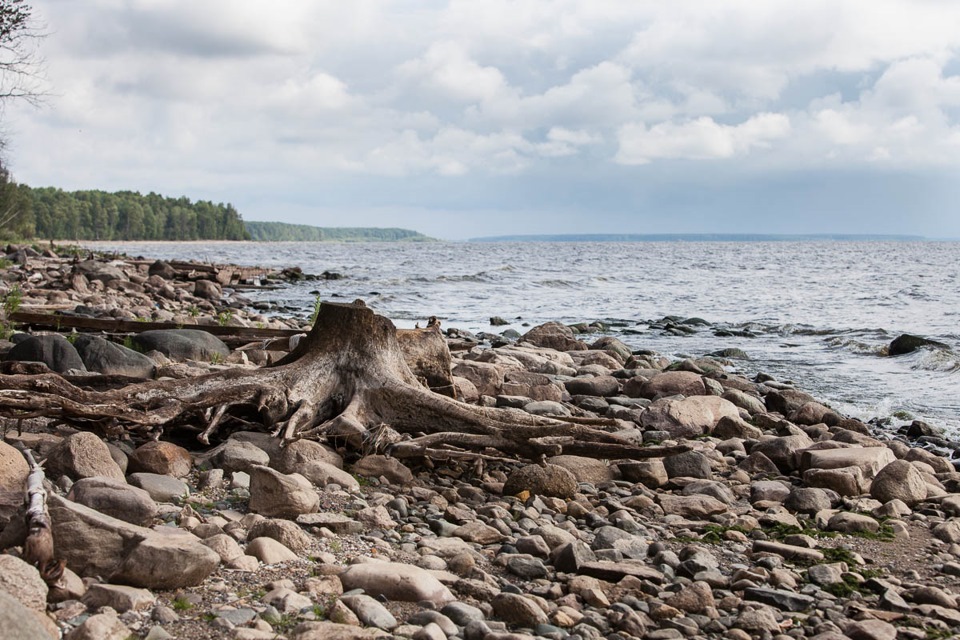 Водохранилище море. Мыс Рожновский Рыбинское водохранилище. Ларионовский мыс Рыбинское водохранилище. Валуны Рыбинское водохранилище. Мыс на Рыбинском водохранилище.