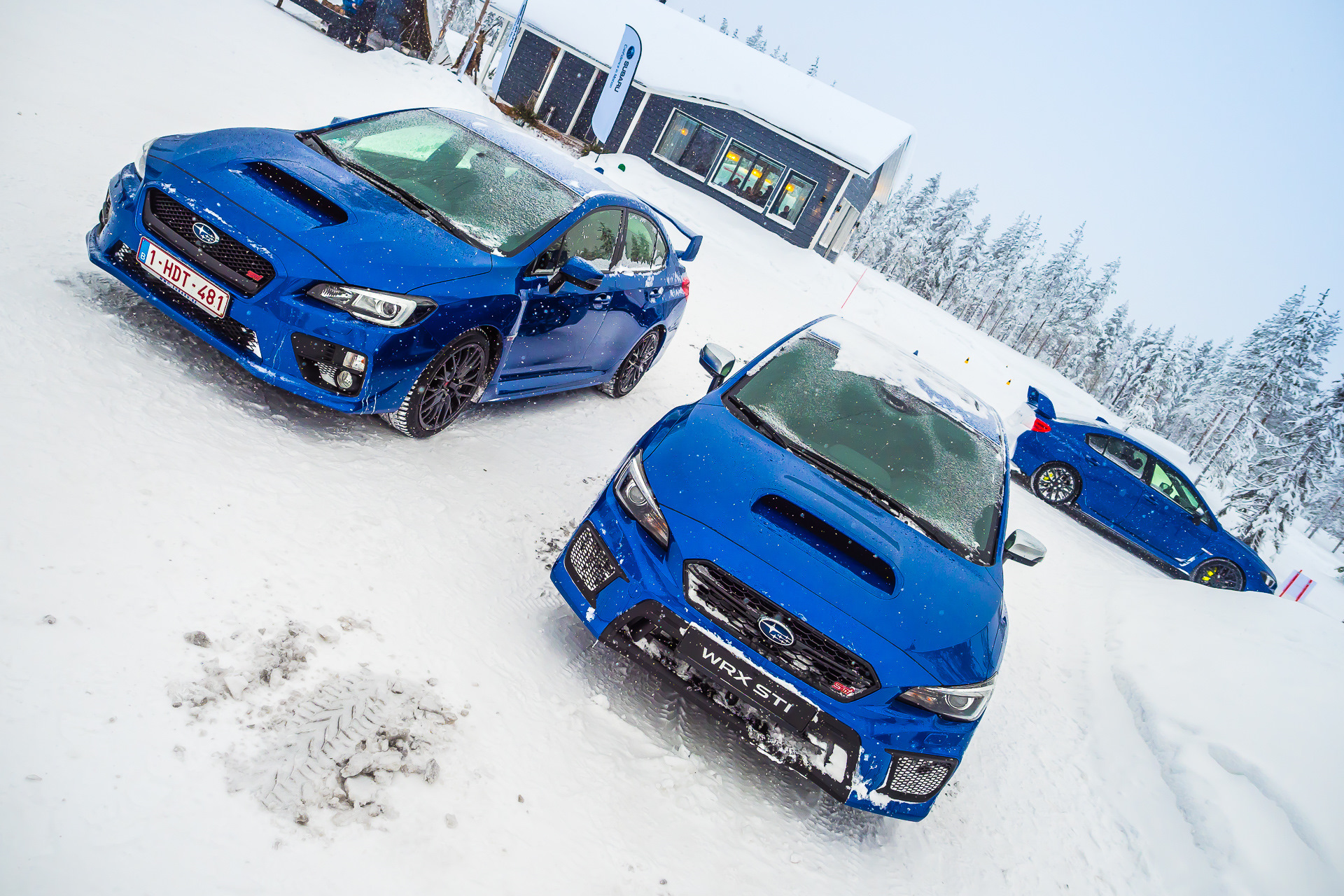 Почему Subaru WRX намного лучше и быстрее, чем WRX STI — «Тест-драйвы» на  DRIVE2