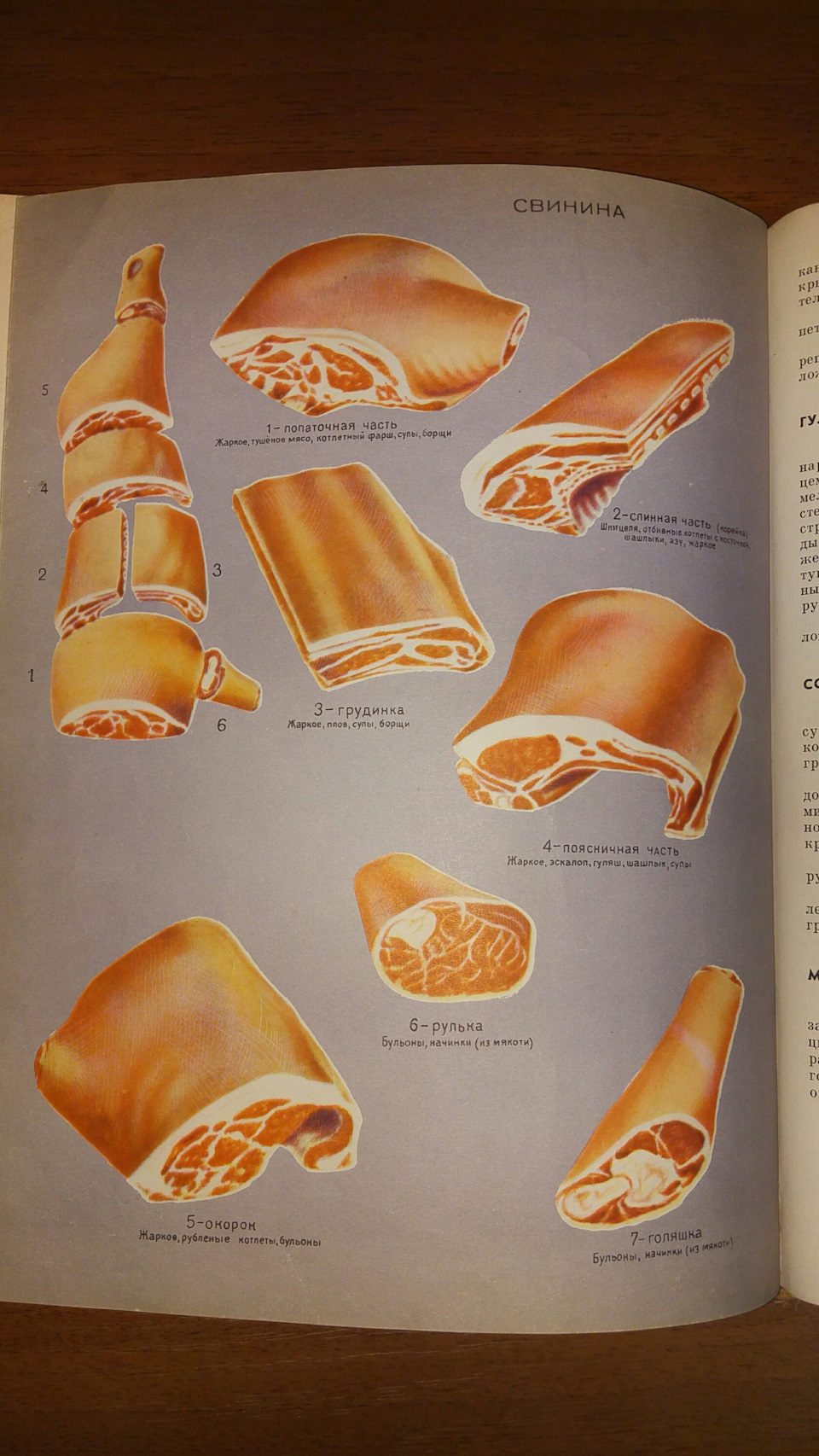 Как отличить заднюю рульку от передней свиную. Рулька передняя и задняя. Рулька свиная передняя. Как отличить заднюю рульку от передней свиную. Как отличить заднюю рульку от передней свиную.