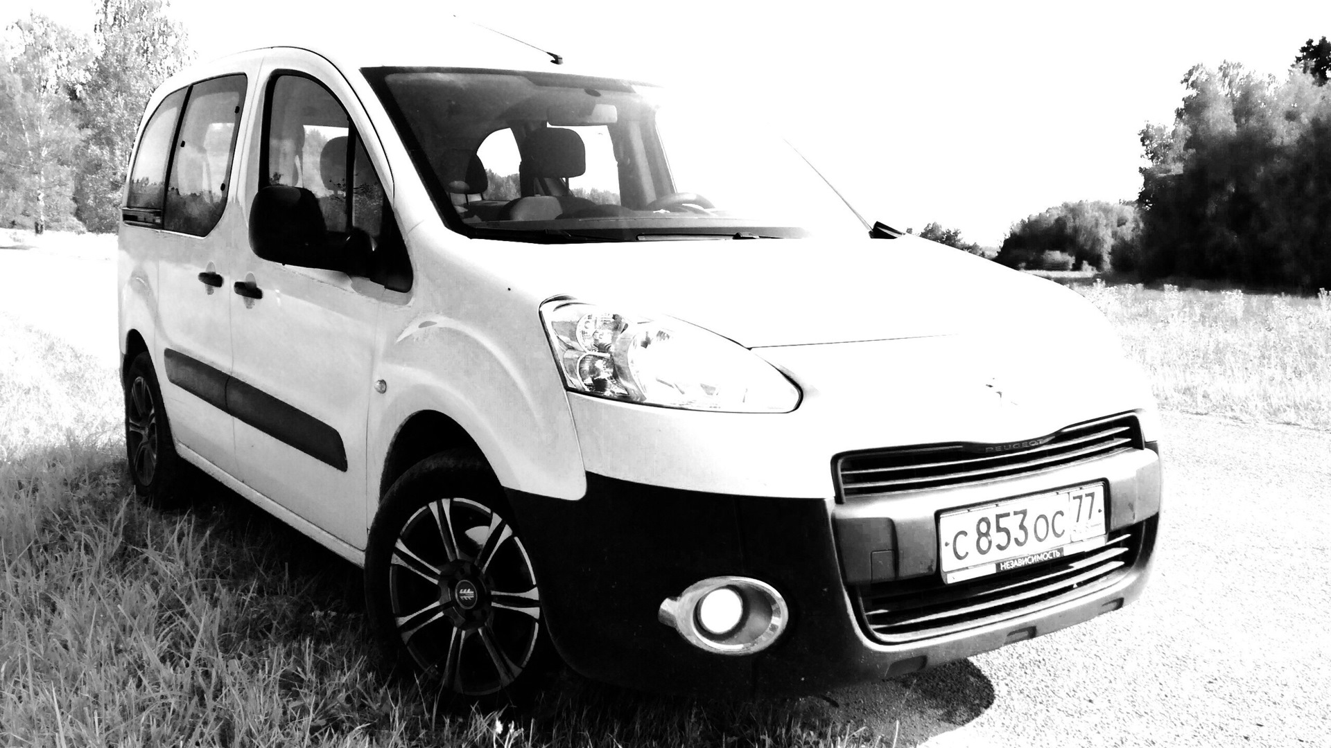 Пежо партнер 1.6. Пежо партнер 1.6 бенз 2 поколение. Peugeot partner г/н е894нн 763 Rus. Peugeot partner Tepee 1.6 л 90 л.с пламегаситель.