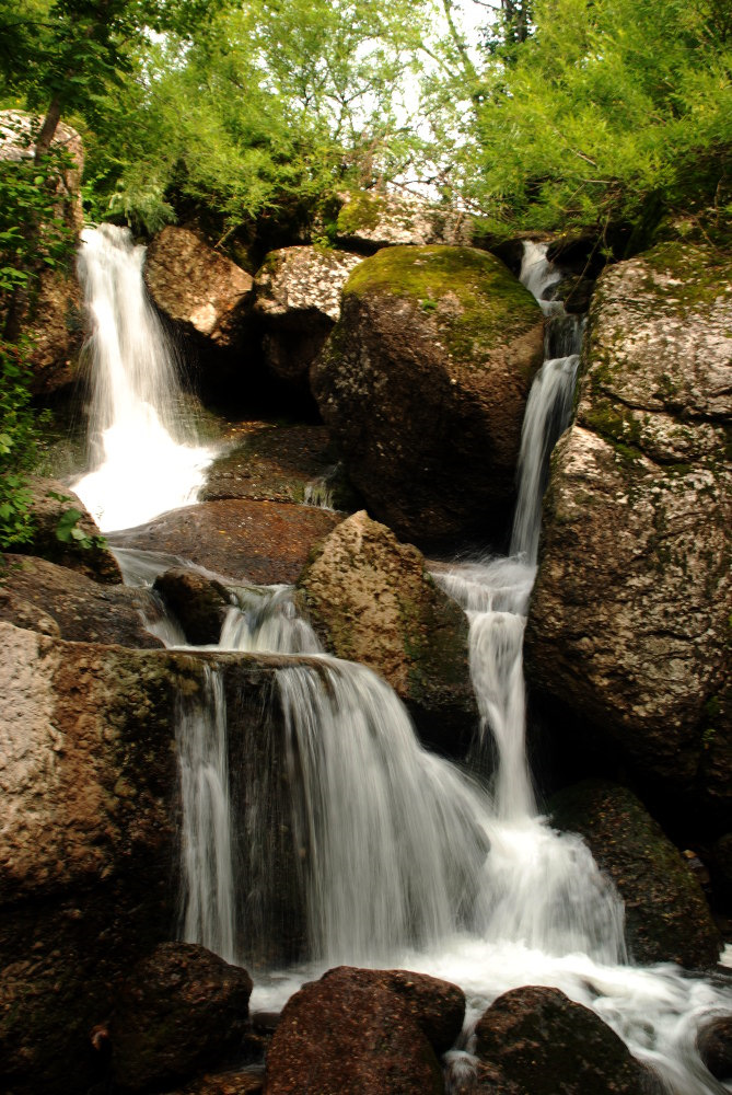 Кук караук фото