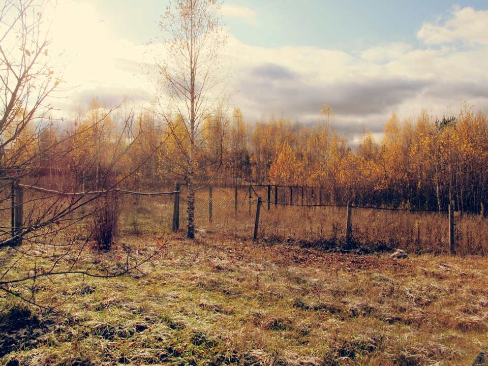 Подсчет владение машиной и отдых на даче. — Toyota Camry (XV30), 3 л ...