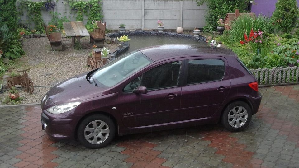 Масло, прокладки клапанных крышек, клипсы+бонус — Peugeot 307, 1,6 л ...