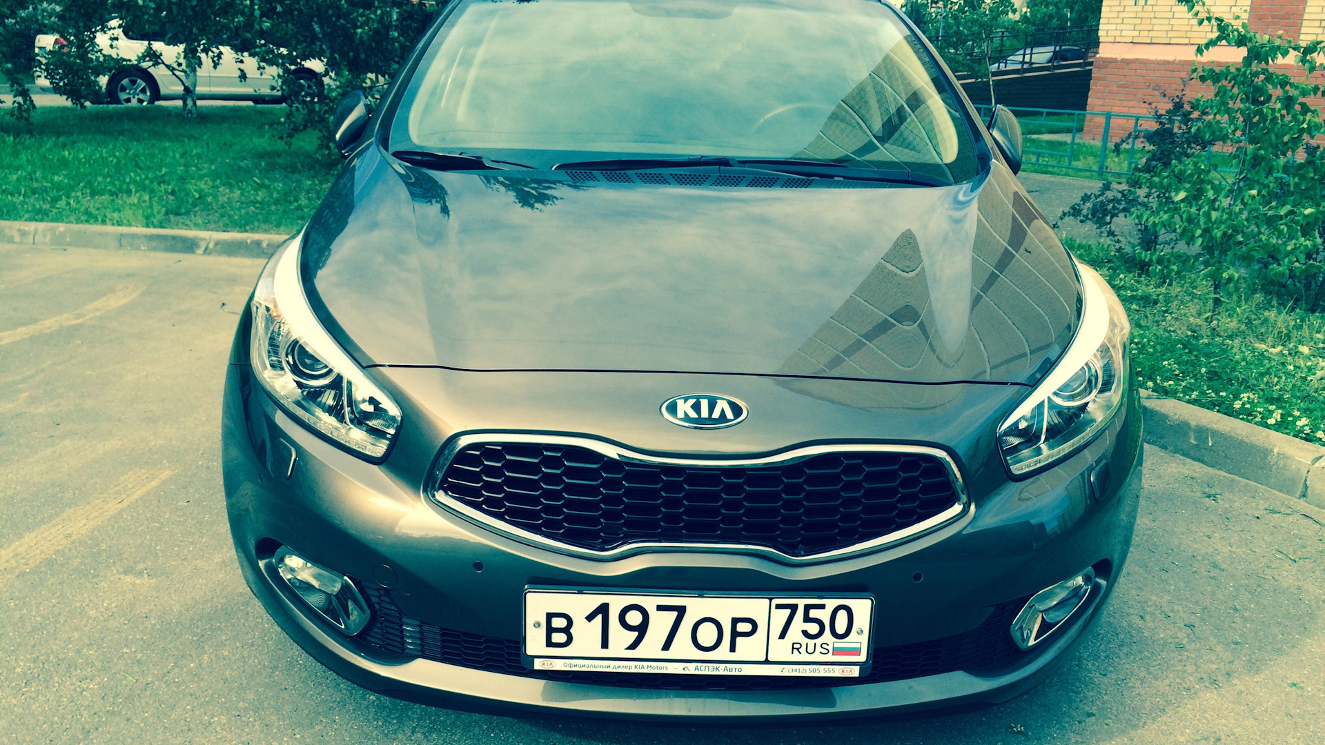 KIA Ceed (2G) 1.6 бензиновый 2012 | Корейский Жук на DRIVE2