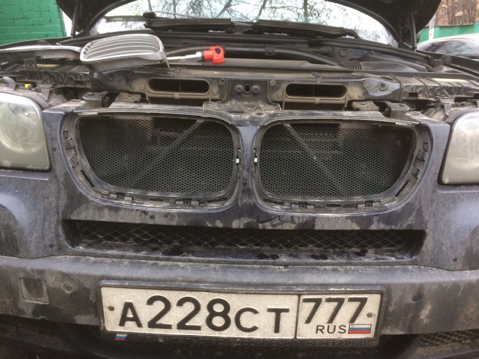 сетка в ноздри — BMW X3 (E83), 3 л, 2007 года | аксессуары | DRIVE2