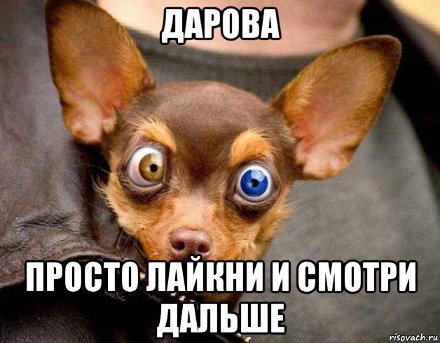Ничего не включай просто. Дарова. Дарова Мем. Дарова фото. Всем дарова.