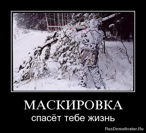 Маскировка смешные картинки
