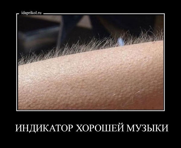 Фолликулярный кератоз и гиперкератоз. У меня уже мурашки. У меня уже мурашки. У меня уже мурашки. Мурашки по коже прикол.