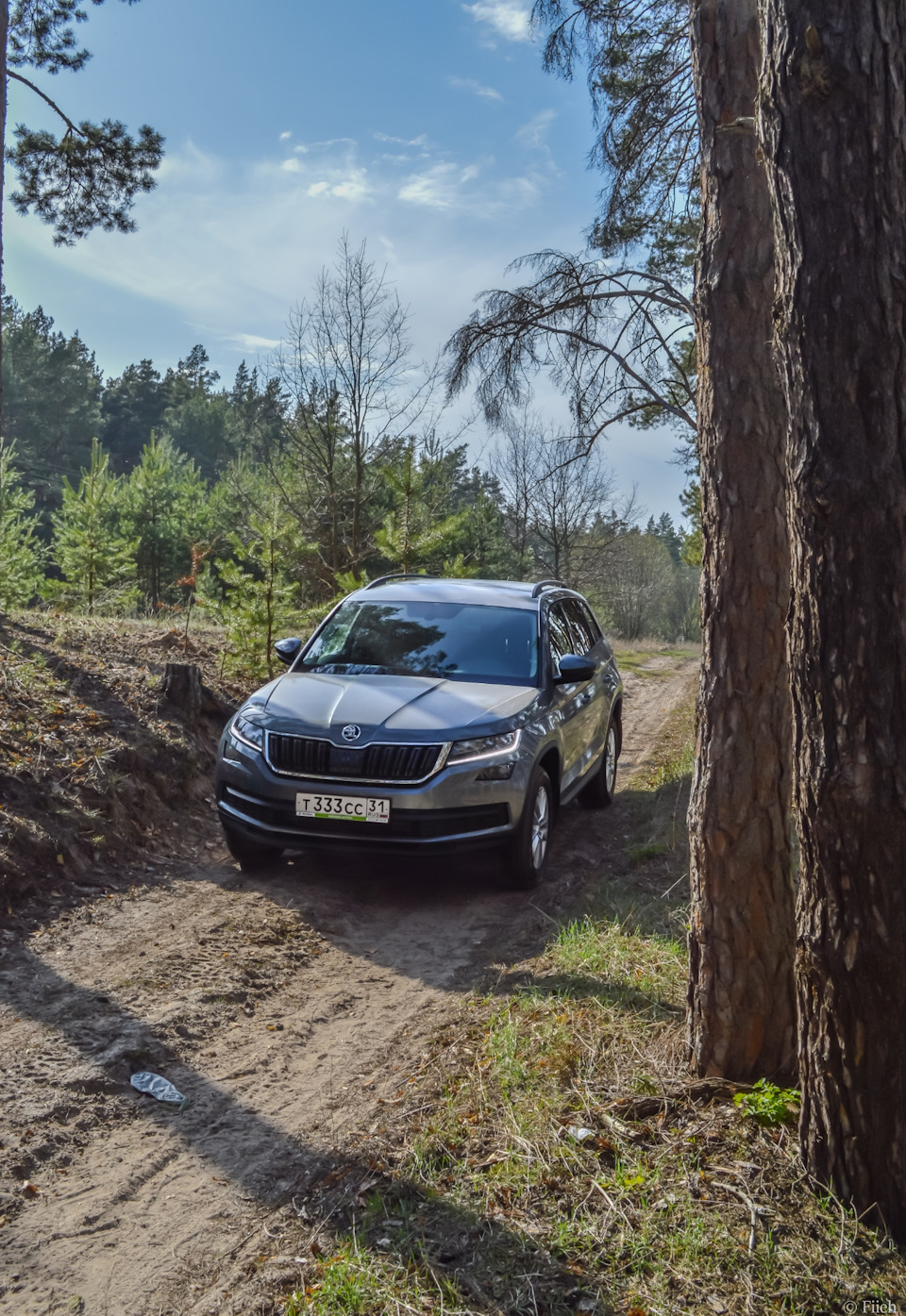 Самоизолировались в сосновом лесу — Skoda Kodiaq, 1,4 л, 2020 года |  фотография | DRIVE2