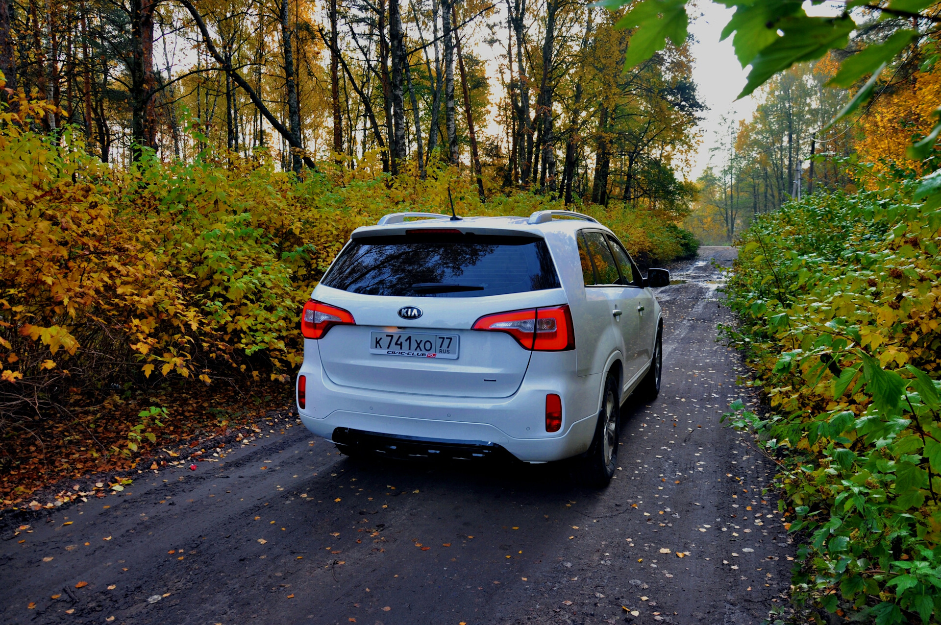 Поздний соренто. Kia Sorento 2 Restyling в лесу. Киа Соренто 3 в лесу. Киа Соренто, без рейлингов. Киа Соренто 2 2015 года-.