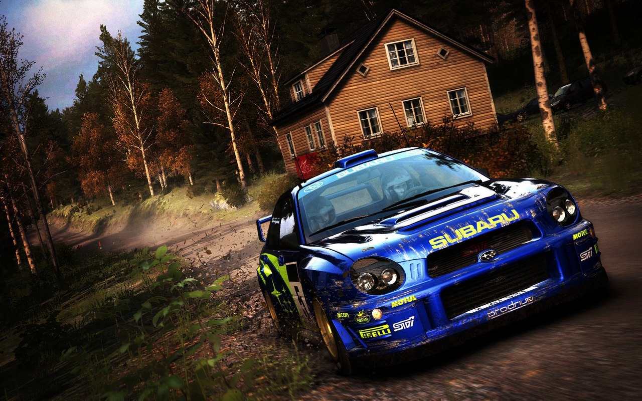 Wrc 10 стим фото 69