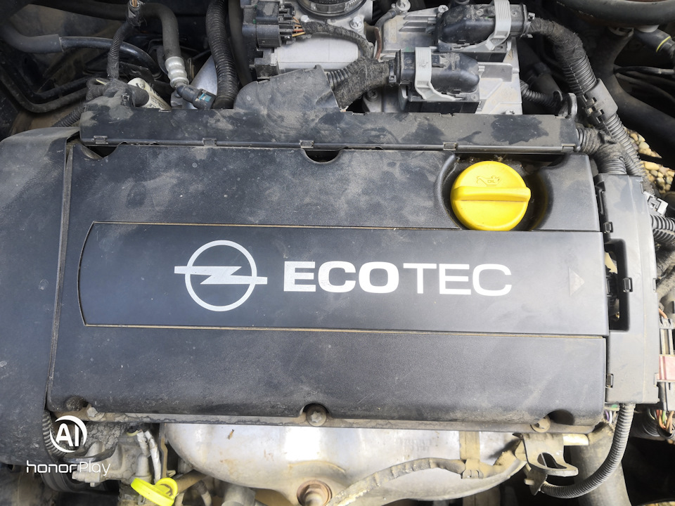 Двигатель опель вектра б 1.8. Экотек 2.5 Опель Вектра. Opel Vectra 1998 1.6 ECOTEC. Мотор Опель Вектра 1.8 Экотек. Двигатель Опель Вектра а 1.6.