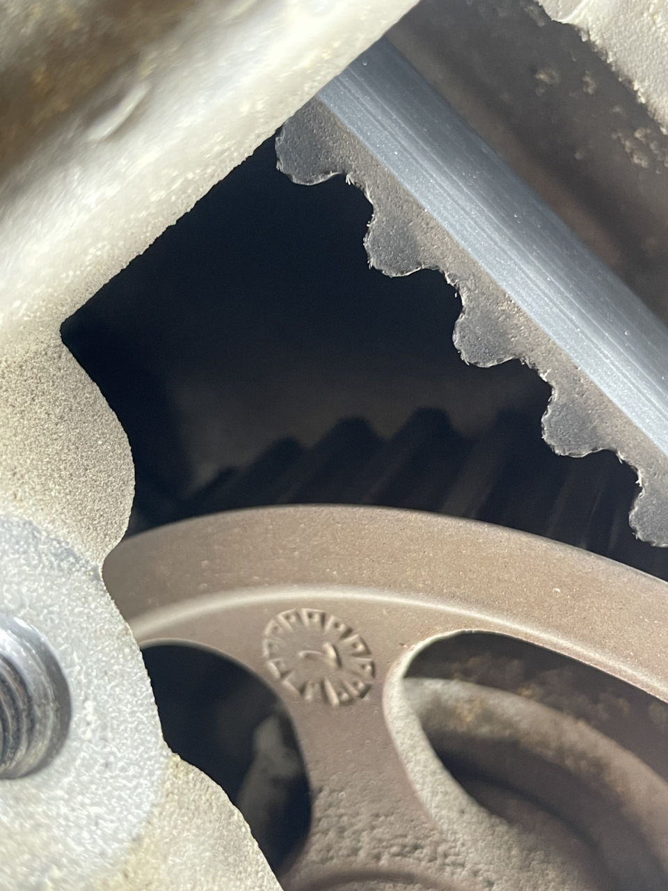 Фото в бортжурнале Renault Laguna III