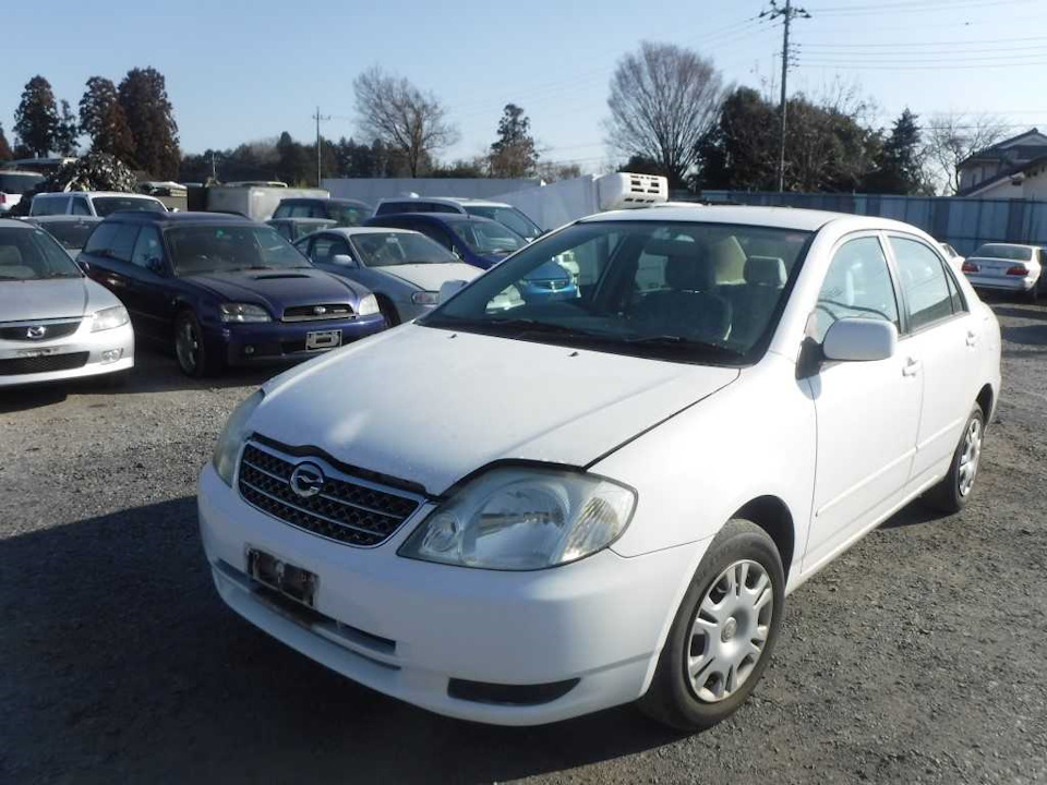 Новое поступление Toyota в разбор! — Автотаун на DRIVE2