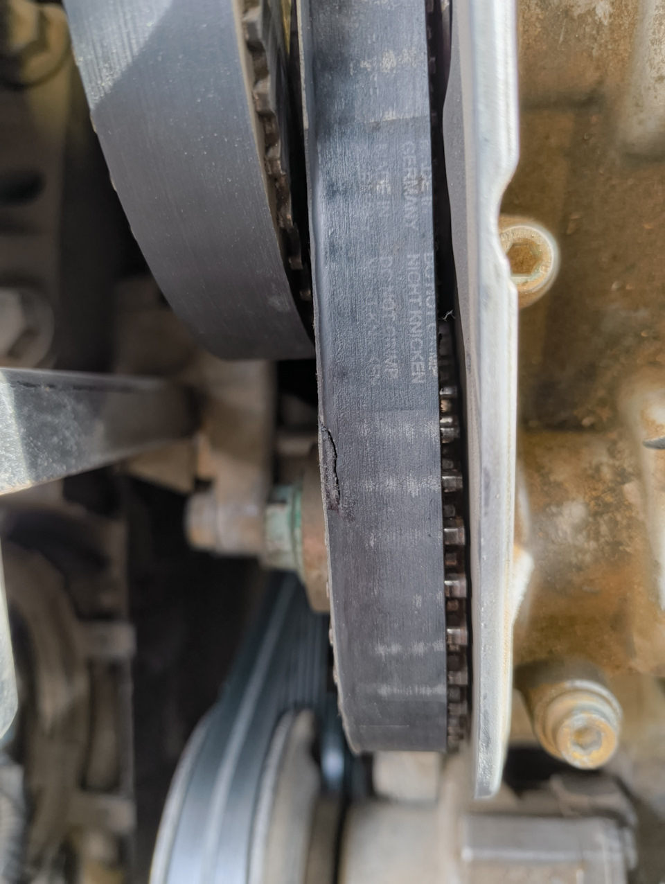 Фото в бортжурнале Volkswagen Golf Mk4