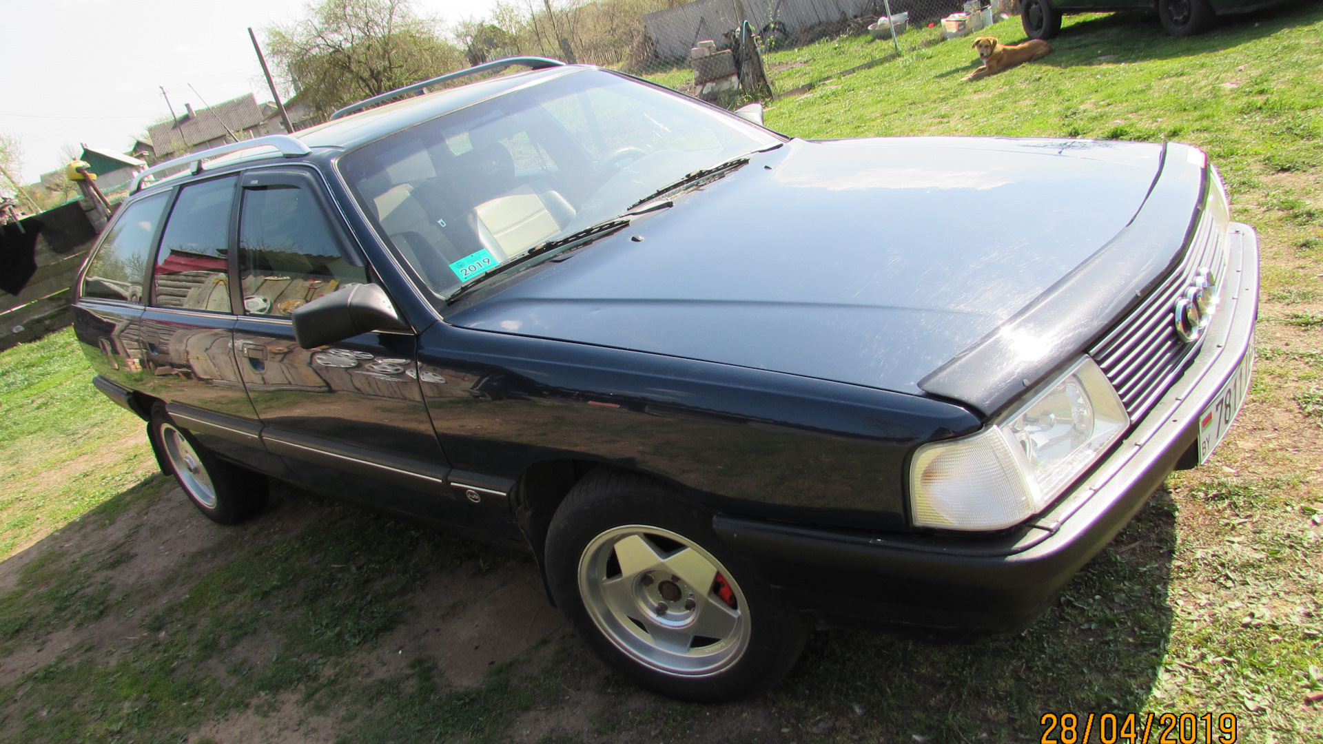 Audi 100 Avant (C3) 1.8 бензиновый 1990 | АВАНТ БЕЛАРУСЬ на DRIVE2