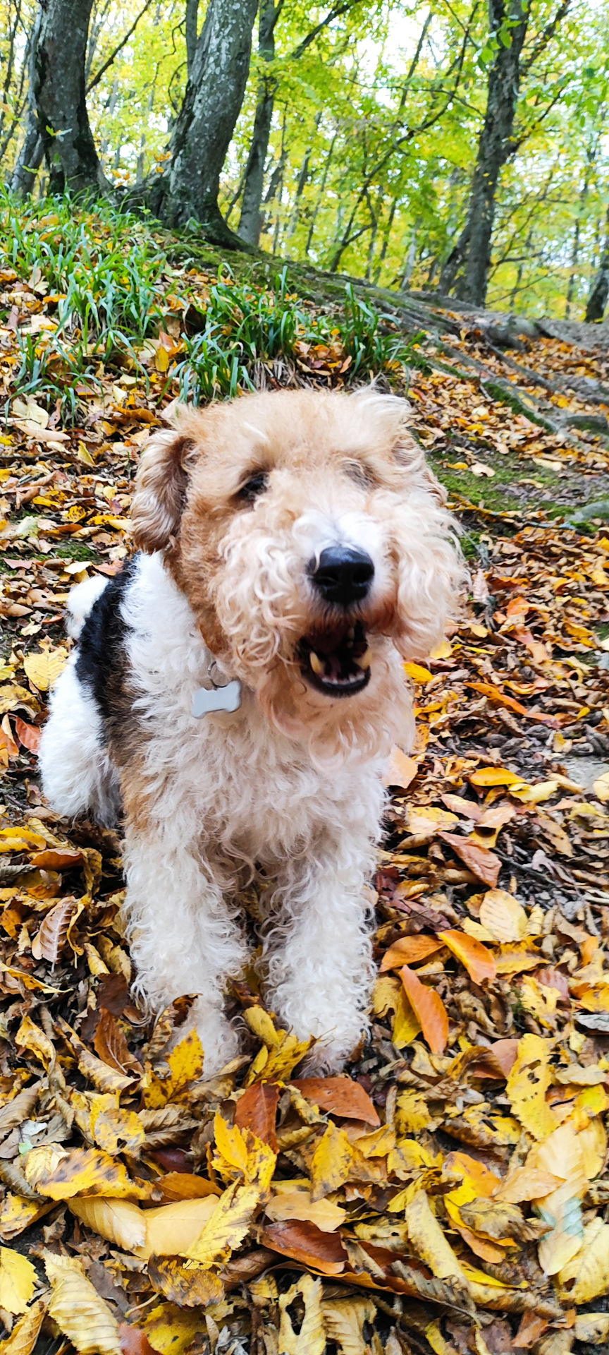 Фото в бортжурнале Mitsubishi Pajero (4G)