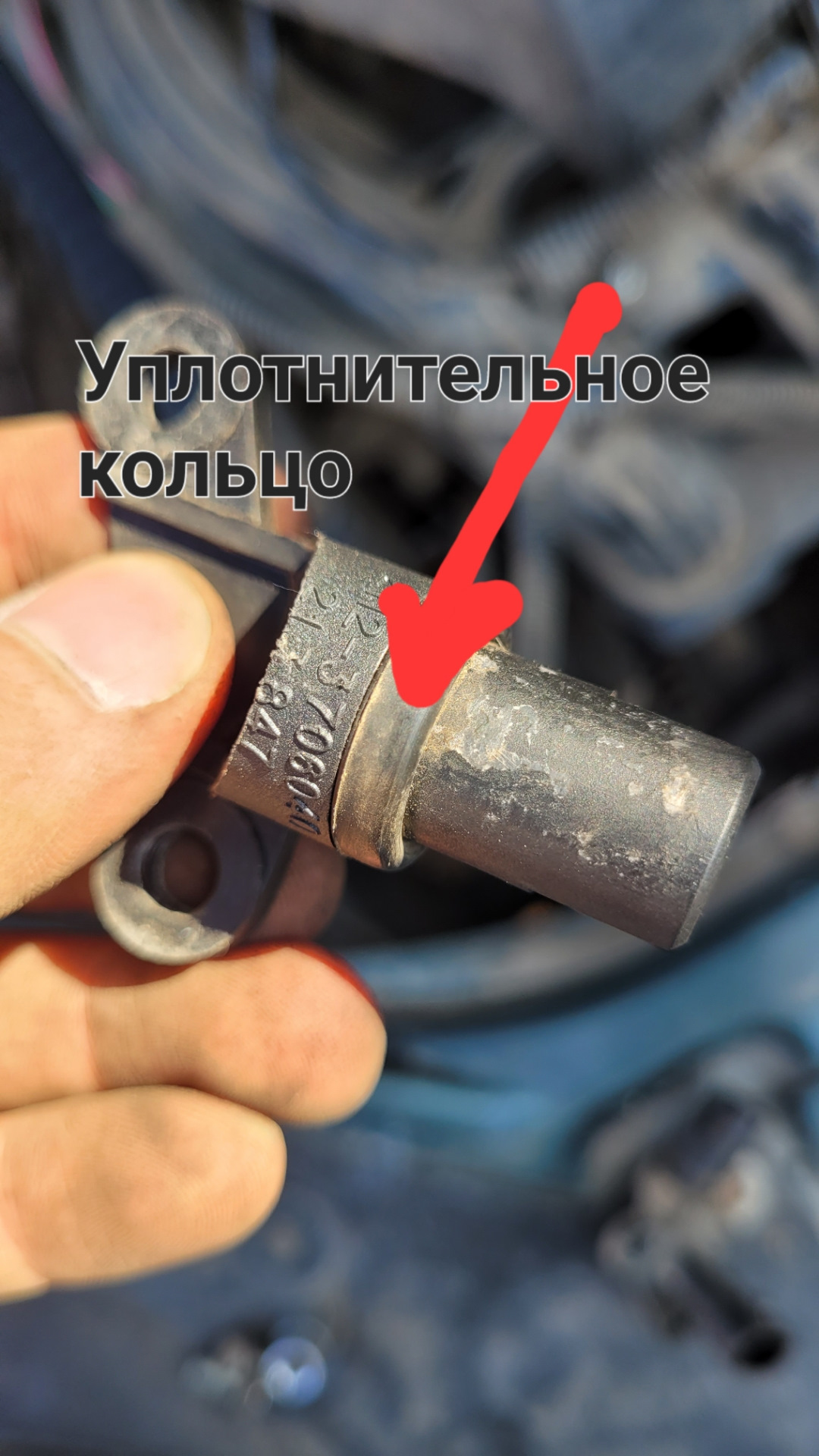 Замена датчика фаз (положения распредвала) приора 16кл — Lada Приора ...