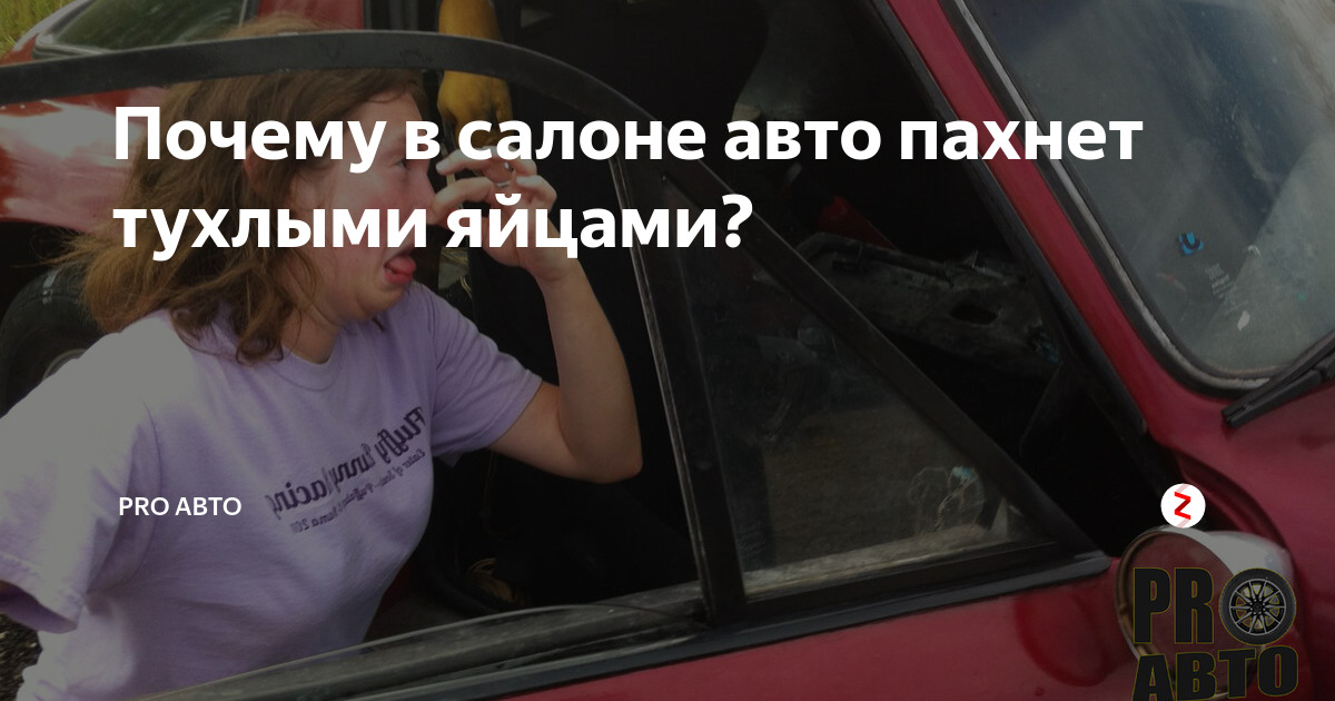 Тухлый запах в салоне. Тухлый запах в салоне