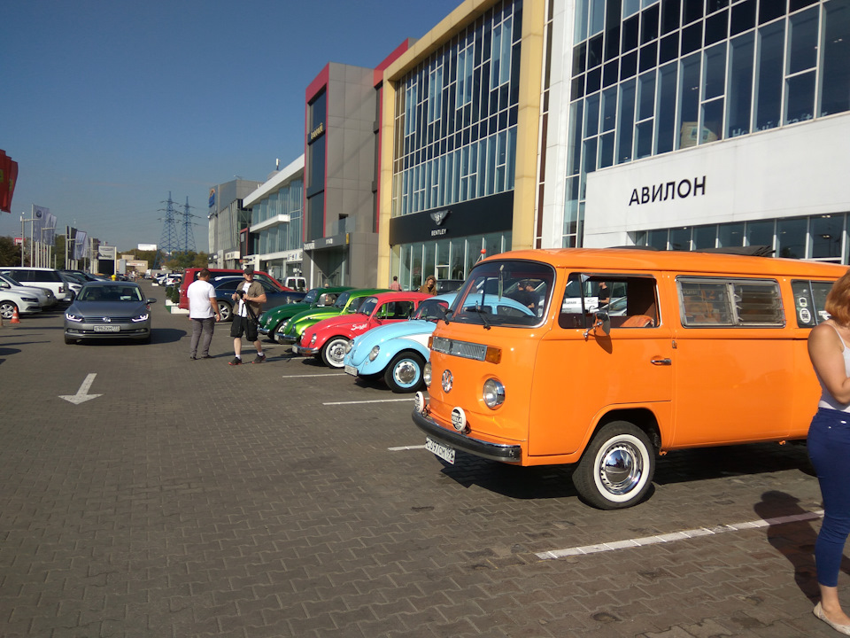 110. Туса у Авилона VW. Возможно последний выезд в этом сезоне ...