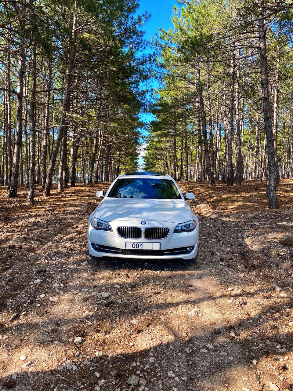 Лес — BMW 5 series (F10), 2,5 л, 2011 года | фотография | DRIVE2