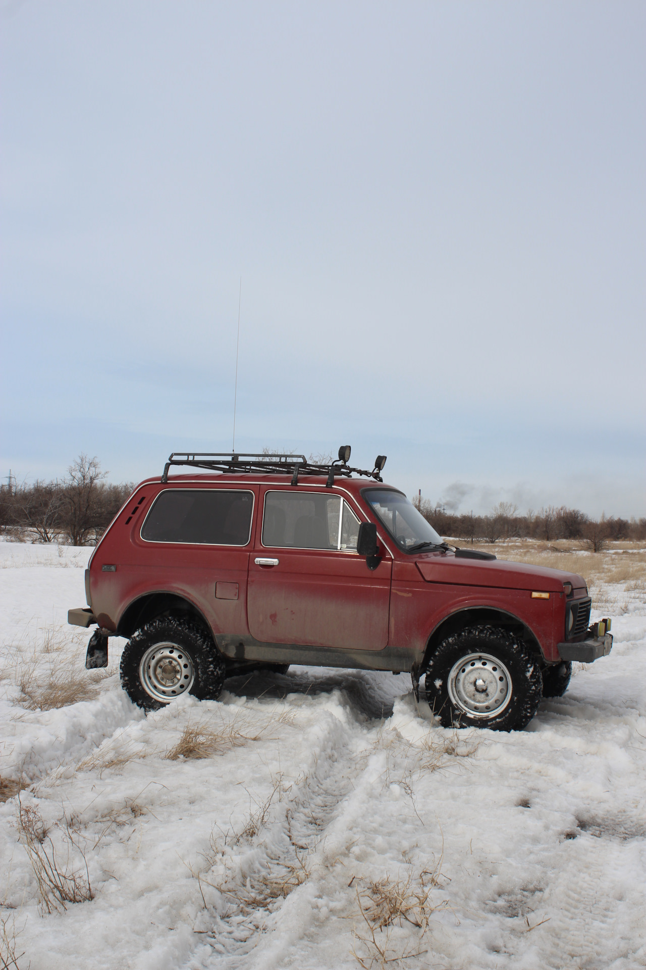 29 колеса на Ниву. Forward Safari 530 — LADA 4x4 3D, 1,7 л., 1994 года ...