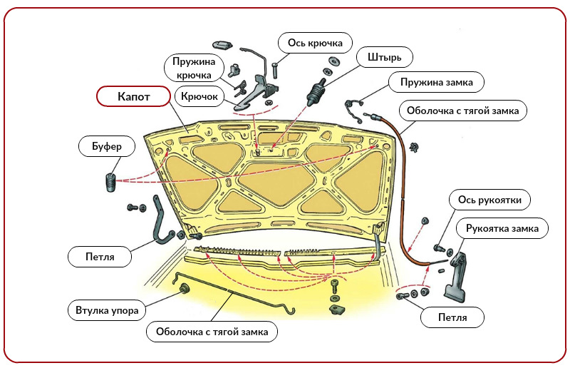 Что находится под капотом машины схема с описанием
