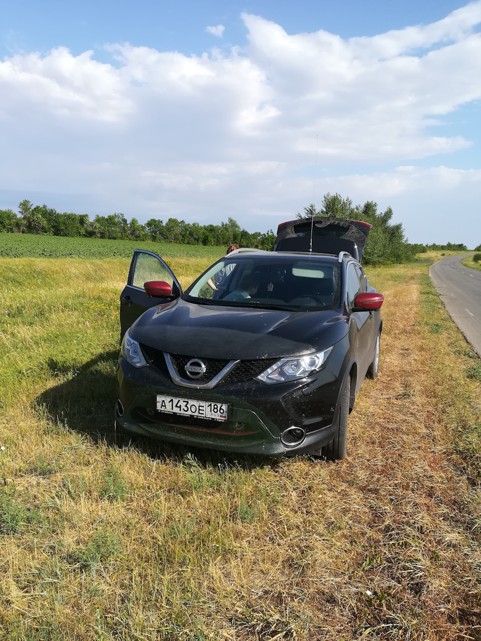 Сургут- Крым — Nissan Qashqai (2G), 2 л, 2017 года | путешествие | DRIVE2