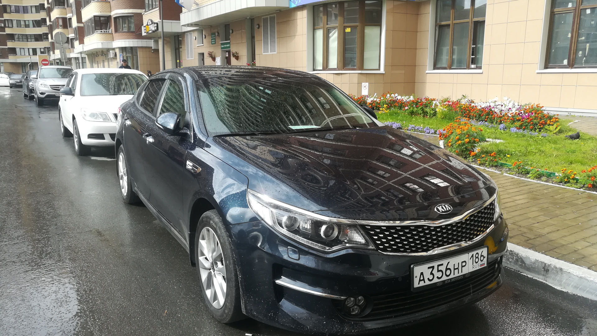 Kia Optima темно синяя