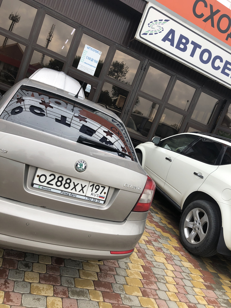 Поездка в Крым. Капитальный ремонт двигателя. Часть 1. — Skoda Octavia A5  Mk2, 1,8 л, 2012 года | поломка | DRIVE2